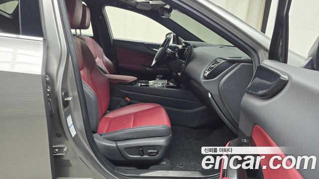 Lexus NX350h (II) Premium 2023 — фото 11
