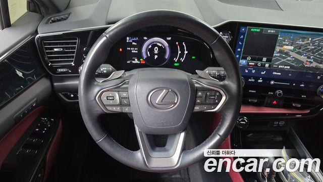 Lexus NX350h (II) Premium 2023 — фото 13