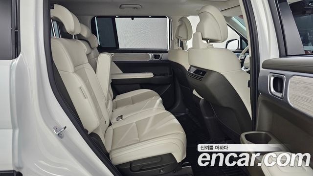 Hyundai Santa Fe (MX5) HEV 1.6 4WD Calligraphy 2024 — фото 12