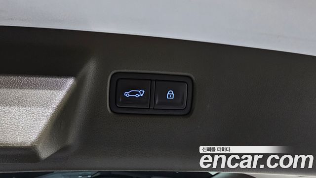 Hyundai Santa Fe (MX5) HEV 1.6 4WD Calligraphy 2024 — фото 20