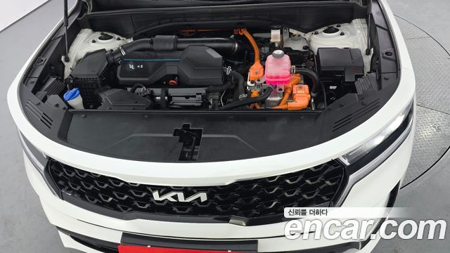 Kia Sorento (IV) HEV 1.6 2WD Prestige 2022 — фото 6