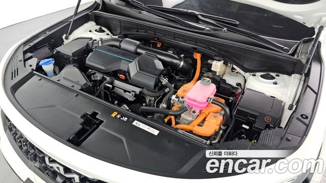 Kia Sorento (IV) HEV 1.6 2WD Noblesse 2023 — фото 6