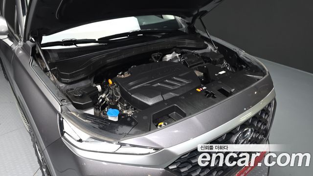 Hyundai Santa Fe (TM) Diesel 2,0 4WD Premium 2019 — фото 6