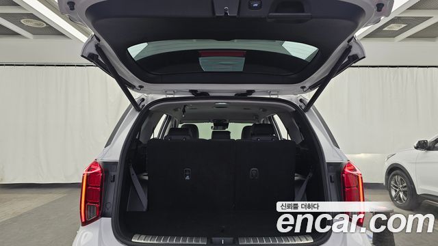 Hyundai Palisade Gasoline 3.8 4WD Le Blanc 2024 — фото 20
