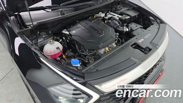 Kia Sportage (V) Diesel 2.0 2WD Nobleless 2023 — фото 6