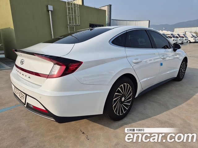 Hyundai Sonata Hybrid (DN8) Premium Plus 2023 — фото 4