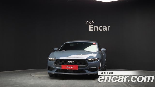 Ford Mustang (VII) 2.3 Ecoboost Premium Convertible 2024 — фото 3