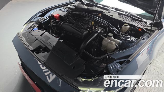 Ford Mustang (VII) 2.3 Ecoboost Premium Convertible 2024 — фото 6