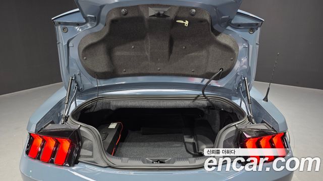 Ford Mustang (VII) 2.3 Ecoboost Premium Convertible 2024 — фото 20