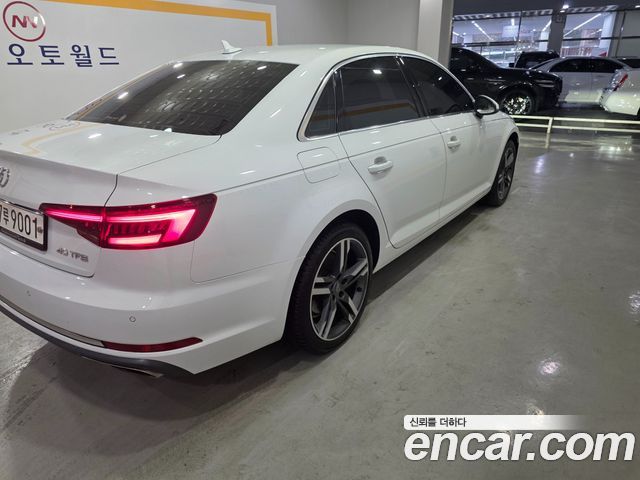 Audi A4 (B9) 40 TFSI Premium 2019 — фото 4