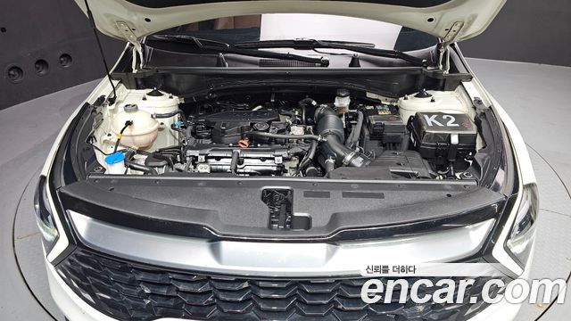 Kia Sportage (V) Gasoline 1.6 Turbo 2WD Signature 2022 — фото 6