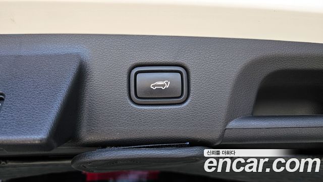 Hyundai Palisade Diesel 2.2 2WD Exclusive 2021 — фото 20