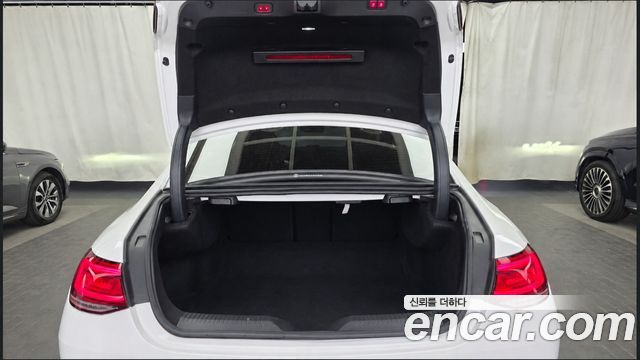 Mercedes-Benz CLS-Class (C257) CLS400d 4MATIC 2019 — фото 24