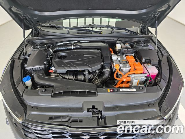 Kia K5 Hybrid (III) Trendy 2023 — фото 6