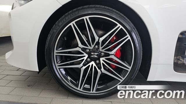 Kia Stinger Meister 2.5 AWD Masters 2021 — фото 5