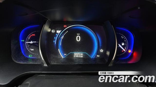 Renault Korea SM6 2.0 LPe LE (Disabled) 2019 — фото 8