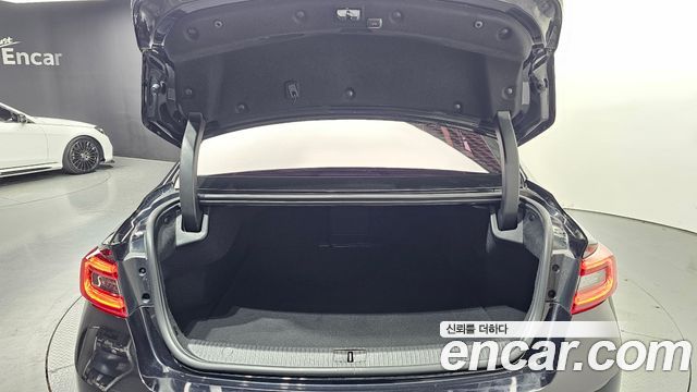 Renault Korea SM6 2.0 LPe LE (Disabled) 2019 — фото 20
