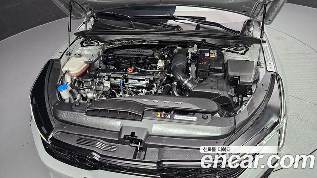 Kia K5 (III) 1.6 Turbo Signature 2024 — фото 6