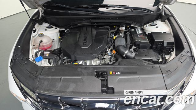 Hyundai Tucson (NX4) Diesel 2.0 2WD Modern 2022 — фото 6