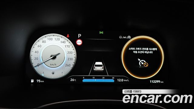 Hyundai Palisade Diesel 2.2 2WD Prestige 2024 — фото 8