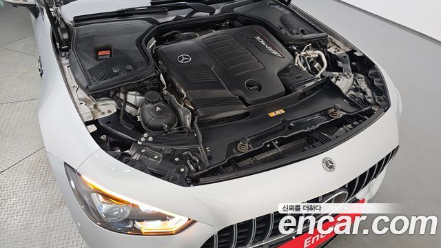 Mercedes-Benz AMG GT 4Door 43 4MATIC+ 2019 — фото 6