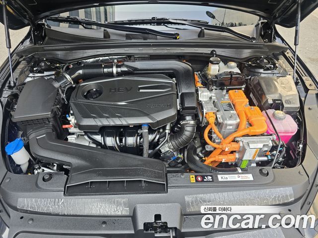 Kia K5 Hybrid (III) Noblesse 2024 — фото 6