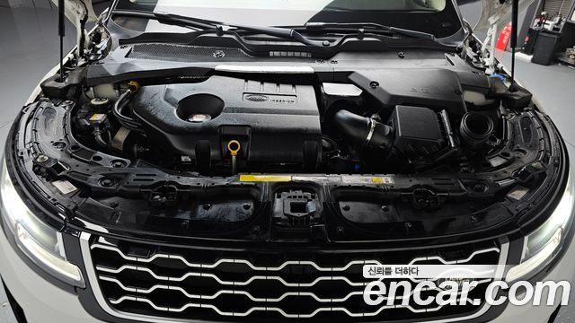 Land Rover Range Rover Evoque (II) D150 S 2020 — фото 6