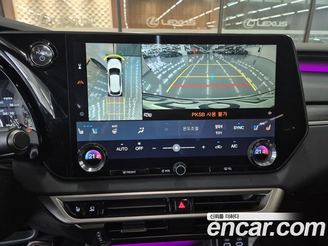 Lexus RX350h (V) Luxury 2025 — фото 19