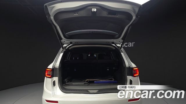 Renault Korea QM6 2.0 LPe RE Signature 2WD 2020 — фото 24