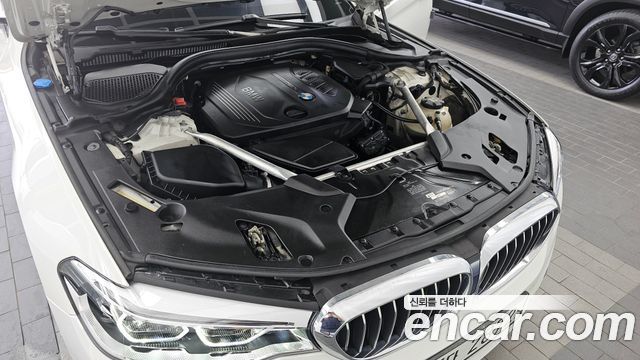 BMW 5 Series (G30) 520d Luxury Special Edition 2018 — фото 6