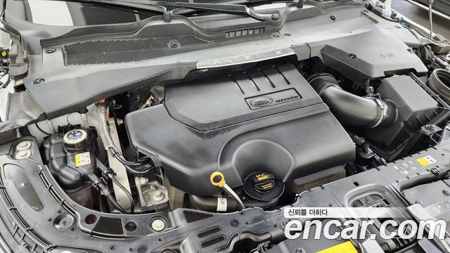 Land Rover Range Rover Evoque (II) P250 Dynamic SE 2024 — фото 6