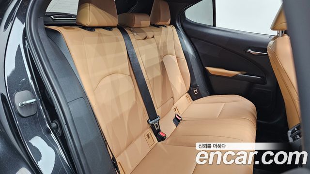 Lexus UX250h 2.0 2WD 2024 — фото 11