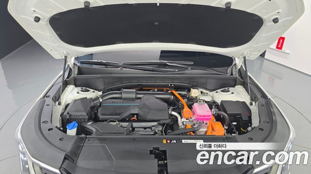 Kia Sorento (IV) HEV 1.6 4WD Gravity 2024 — фото 6