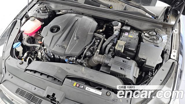 Kia K5 (III) 2.0 Noblesse 2023 — фото 6