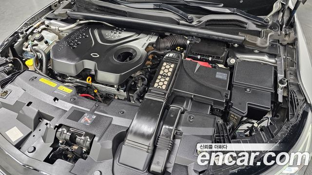 Renault Korea SM6 2.0 GDe LE 2017 — фото 6