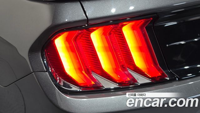 Ford Mustang Coupe 2019 — фото 23