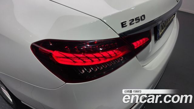 Mercedes-Benz E-Class (W213) E250 Exclusive 2021 — фото 23