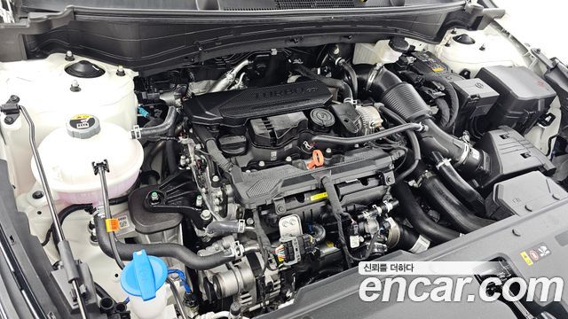 Kia Sportage (V) Gasoline 1.6 Turbo 4WD Noblesse 2026 — фото 6