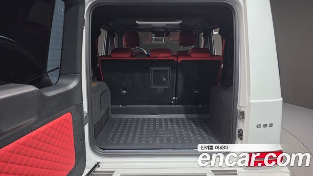 Mercedes-Benz G-Class (W463b) AMG G63 Manufaktur 2023 — фото 20