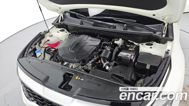Kia Sportage (V) Diesel 2.0 4WD Trendy 2023 — фото 6