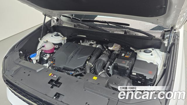 Hyundai Santa Fe (MX5) Gasoline 2.5T 2WD Calligraphy 2024 — фото 6