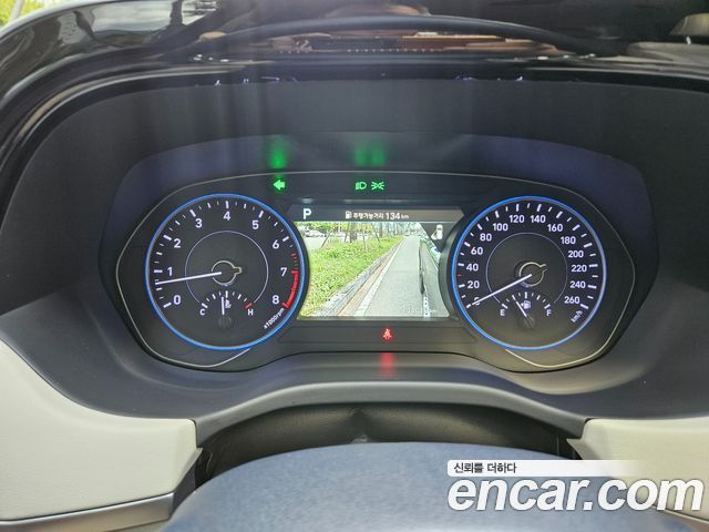 Hyundai Palisade Gasoline 3.8 4WD Prestige 2019 — фото 19