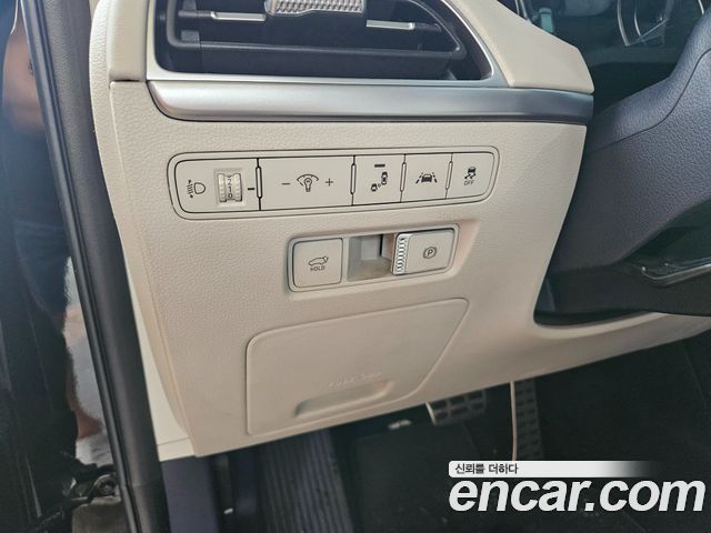 Hyundai Palisade Gasoline 3.8 4WD Prestige 2019 — фото 21