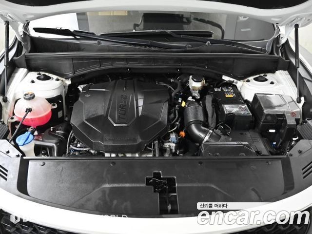 Kia Sorento (IV) Diesel 2.2 4WD Noblesse 2023 — фото 6