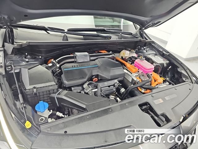 Kia Sportage Hybrid (V) Nobleless 2WD 2024 — фото 5