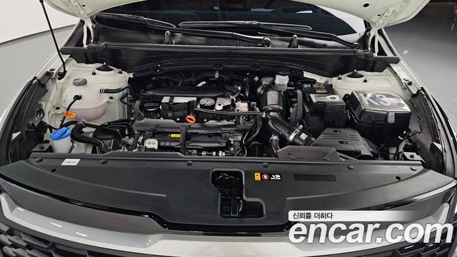 Kia Sportage (V) Gasoline 1.6 Turbo 2WD Signature 2025 — фото 6
