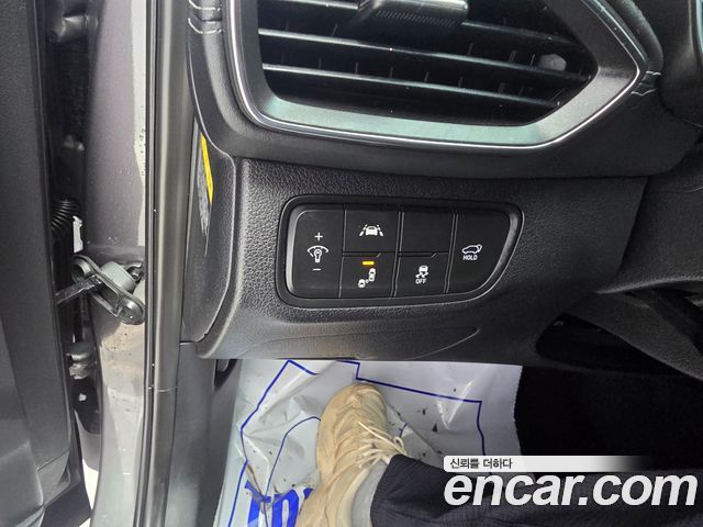 Hyundai Santa Fe (TM) Diesel 2.0 2WD Prestige 2020 — фото 19