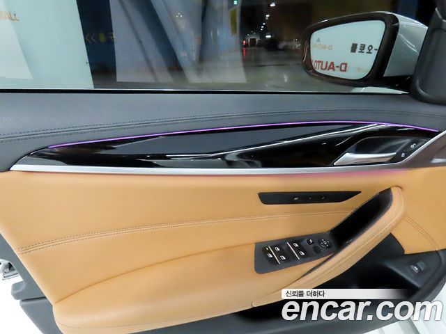 BMW 5 Series (G30) 520i Luxury 2019 — фото 19