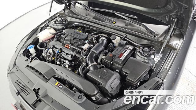 Kia K5 (III) 1.6 Turbo Noblesse 2024 — фото 6