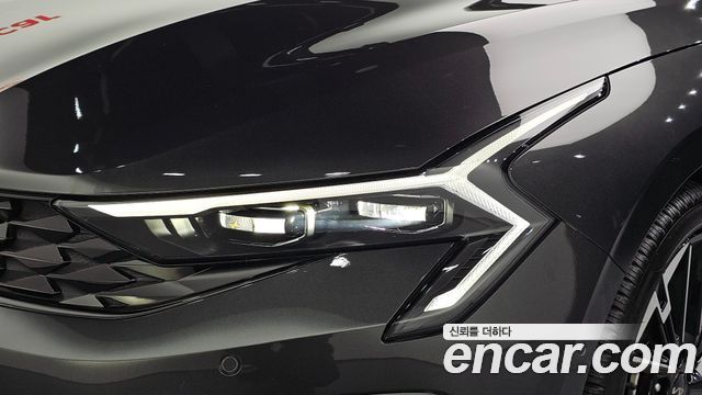 Kia K5 (III) 1.6 Turbo Noblesse 2024 — фото 22